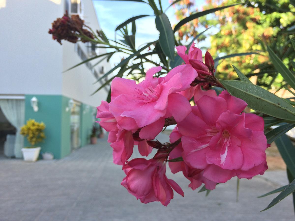 Scenarium Hotel Jaboatao dos Guararapes Buitenkant foto